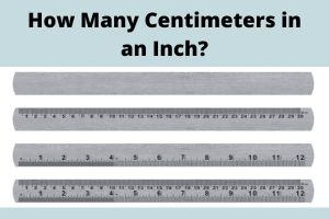 How Many Centimeters in an Inch? Quick Answer | Workjoes