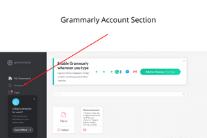 Grammarly Accounts section