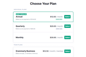 Grammarly Premium plans