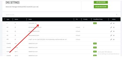 DNS settings on ezoic