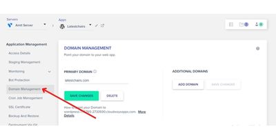 domain management