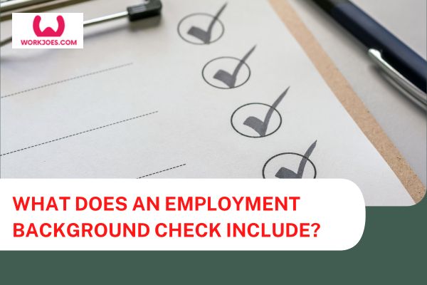 What Does an Employment Background Check Include?