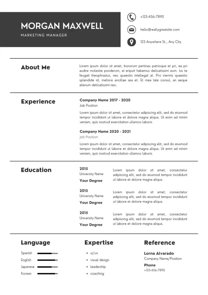 Professional CV Resume template